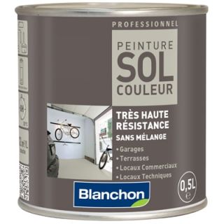 Blanchon - Peinture Sol Couleur 0,5L Blanc