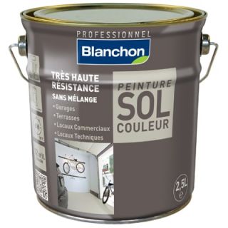 Blanchon - Peinture Sol Couleur 2,5L Gris Moyen