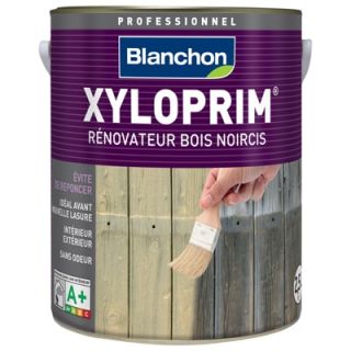 xyloprim-2.5L-06107900