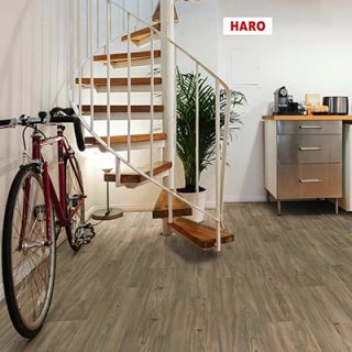 Haro - Parquet Stratifié - TRITTY 90 - Pin Florenz