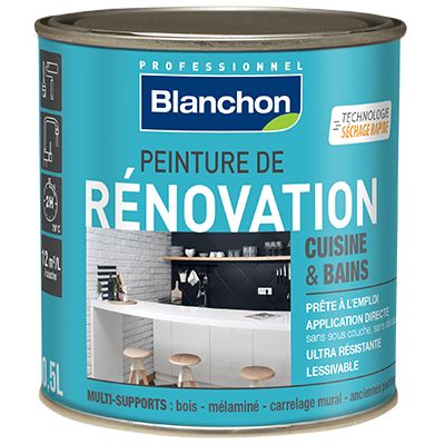 Blanchon - Peinture de Rénovation 0,5L Gris Clair