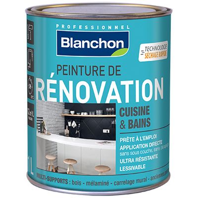 Blanchon - Peinture de Rénovation 1L Noir